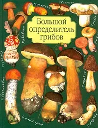 Обложка книги Большой определитель грибов, А. В. Юдин
