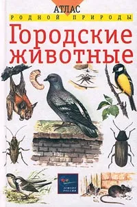 Обложка книги Городские животные, Е. Т. Бровкина, В. И. Сивоглазов