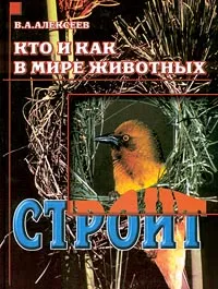 Обложка книги Кто и как в мире животных строит, Алексеев Владимир Николаевич