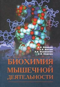 Обложка книги Биохимия мышечной деятельности, Н. И. Волков, Э. Н. Несен, А. А. Осипенко, С. Н. Корсун