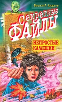 Обложка книги Непростые камешки, Василий Акулов