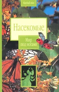 Обложка книги Насекомые, Стив Сетфорд