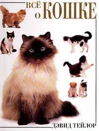 Обложка книги Все о кошке, Тейлор Дэвид