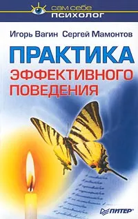 Обложка книги Практика эффективного поведения, Вагин Игорь Олегович