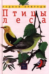 Обложка книги Птицы леса, Е. Т. Бровкина, В. И. Сивоглазов