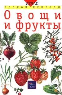 Обложка книги Овощи и фрукты, Т. А. Козлова, В. И. Сивоглазов