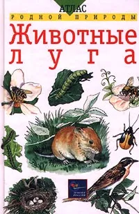 Обложка книги Животные луга, Е. Т. Бровкина, В. И. Сивоглазов