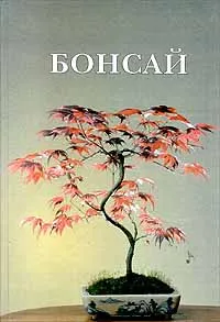 Обложка книги Бонсай, Г. Н. Горбачева, В. С. Житков, Э. Т. Мамедова