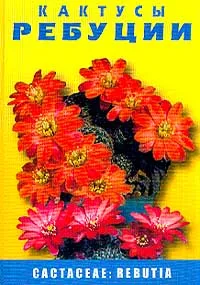 Обложка книги Кактусы: Ребуции / Cactaceae: Rebutia, Д. В. Семенов