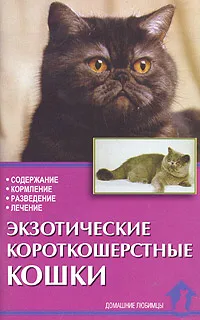 Обложка книги Экзотические короткошерстные кошки. Стандарты. Содержание. Разведение. Профилактика заболеваний, Зорин В.Л., Зубкова Н.В.