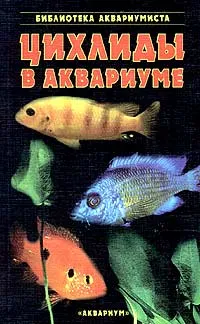 Обложка книги Цихлиды в аквариуме, С. М. Кочетов