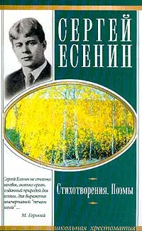 Обложка книги Стихотворения; Поэмы (с комментариями, темами и планами сочинений). Серия: Школьная хрестоматия, Есенин С.А.