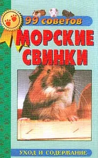 Обложка книги Морские свинки. Уход и содержание, Рахманов Александр Иванович