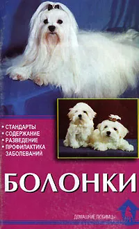 Обложка книги Болонки. Стандарты. Содержание. Разведение. Профилактика заболеваний, Н. В. Ланко, Е. В. Цыганкова