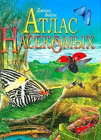 Обложка книги Атлас насекомых (пер. с англ. Найденова В.В.), Бейли Дж.