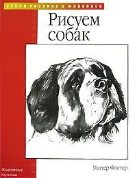 Обложка книги Рисуем собак, Уолтер Фостер