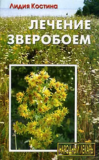 Обложка книги Лечение зверобоем, Лидия Костина