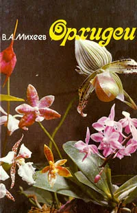 Обложка книги Орхидеи, В. А. Михеев