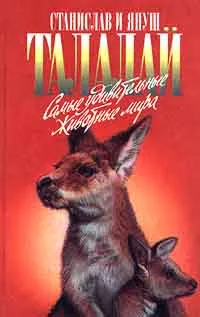 Обложка книги Самые удивительные животные мира, Станислав и Януш Талалай