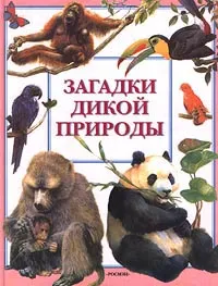 Обложка книги Загадки дикой природы, Клейборн Анна, Хандури Камини