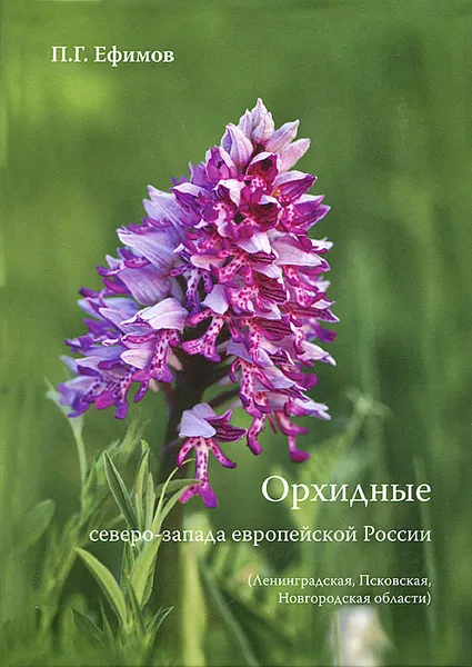 Обложка книги Орхидные северо-запада европейской России, П. Г. Ефимов