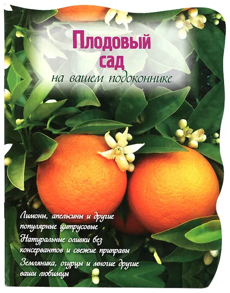 Обложка книги Плодовый сад на вашем подоконнике, Н. Власова