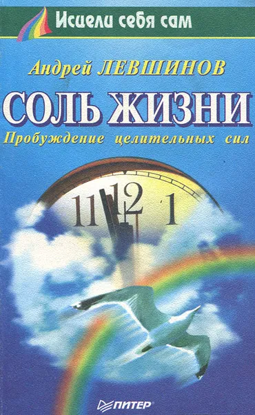 Обложка книги Соль жизни, Андрей Левшинов