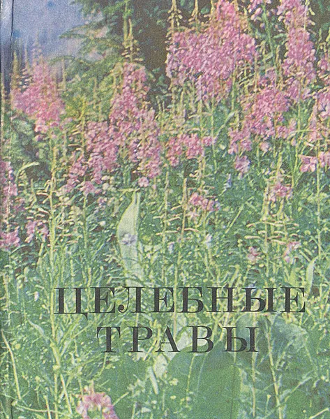 Обложка книги Целебные травы, К. У. Ушбаев, И. И. Курамысова, В. Ф. Аксенова