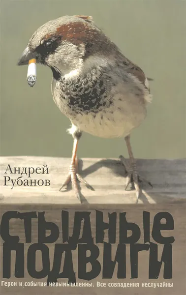 Обложка книги Стыдные подвиги, Рубанов Андрей Викторович