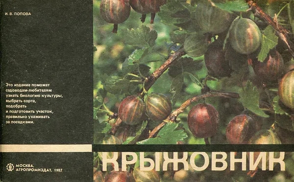 Обложка книги Крыжовник, И. В. Попова