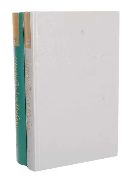 Обложка книги Муки и радости (комплект из 2 книг), Ирвинг  Стоун