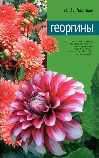 Обложка книги Георгины, А. Г. Челищев