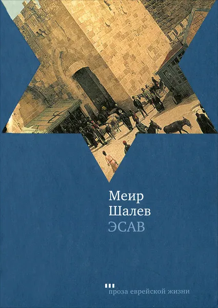 Обложка книги Эсав, Меир Шалев