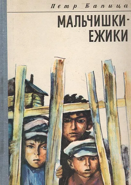 Обложка книги Мальчишки-ежики, Петр Капица