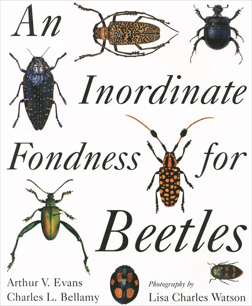 Обложка книги An Inordinate Fondness for Beetles, Arthur V. Evans, Charles L. Bellamy