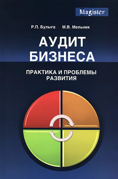 Обложка книги Аудит бизнеса. Практика и проблемы развития, Р. П. Булыга, М. В. Мельник