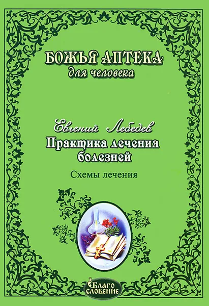 Обложка книги Практика лечения болезней. Схемы лечения, Евгений Лебедев