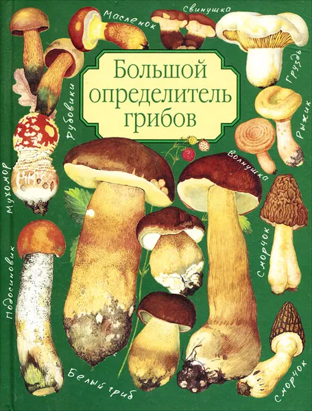 Обложка книги Большой определитель грибов, А. В. Юдин