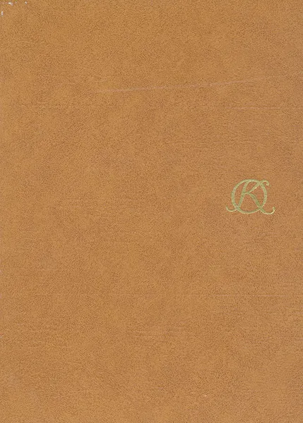 Обложка книги Орест Кипренский, В. С. Турчин