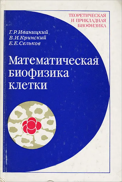 Обложка книги Математическая биофизика клетки, Г. Р. Иваницкий, В. И. Кринский, Е. Е. Сельков