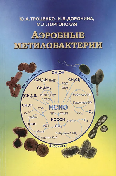 Обложка книги Аэробные метилобактерии, Ю. А. Троценко, Н. В. Доронина, М. Л. Торгонская