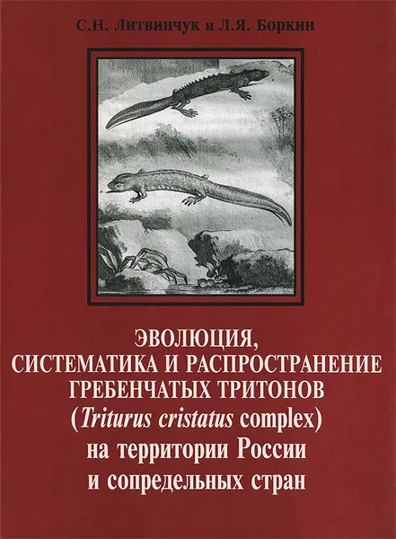 Обложка книги Эволюция, систематика и распространение гребенчатых тритонов (Triturus cristatus complex) на территории России и сопредельных стран / Evolution, systematics and Distribution of Crected Newts (Triturus cristatus complex) in Russia and adjacent Countries, С. Н. Литвинчук, Л. Я. Боркин