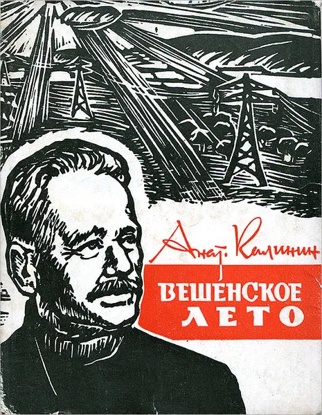 Обложка книги Вешенское лето, Калинин Анатолий Вениаминович