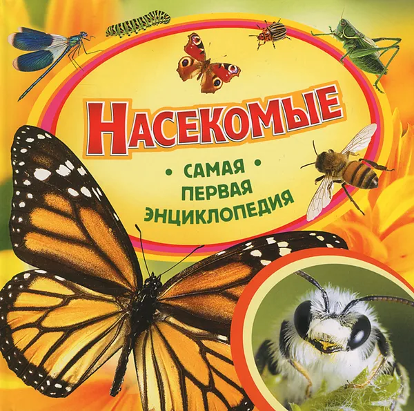 Обложка книги Насекомые, Травина Ирина Владимировна