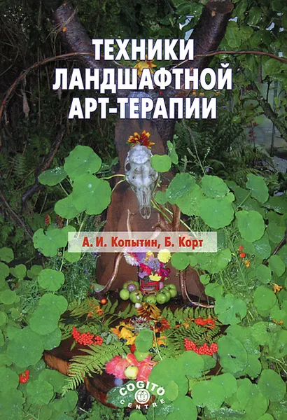 Обложка книги Техники ландшафтной арт-терапии, А. И. Копытин, Б. Корт