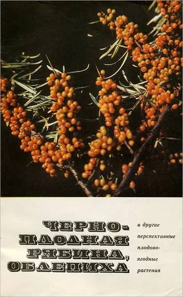 Обложка книги Черноплодная рябина, облепиха и другие перспективные плодово-ягодные растения, Чаховский Александр Александрович, Шапиро Давид Копелевич