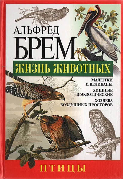 Обложка книги Жизнь животных. Птицы. Л - Я, Альфред Брем