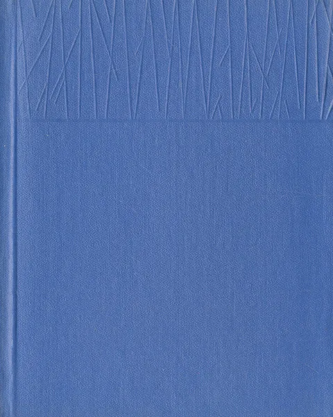 Обложка книги Приваловские миллионы, Д. Н. Мамин-Сибиряк
