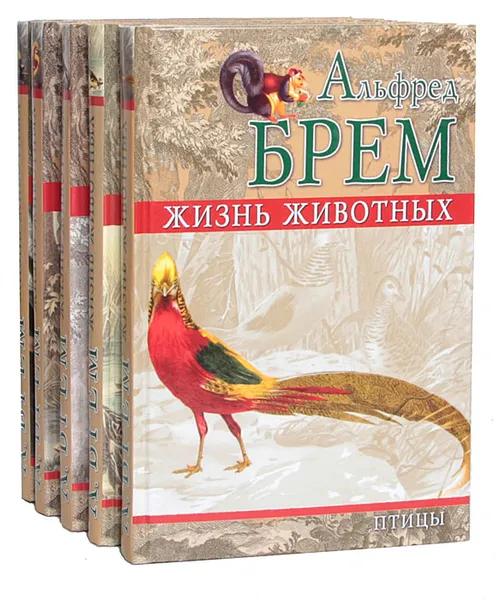 Обложка книги Жизнь животных. Птицы (комплект из 5 книг), Альфред Брем