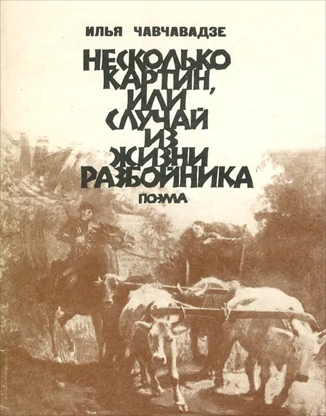 Обложка книги Несколько картин, или Случай из жизни разбойника, Илья Чавчавадзе